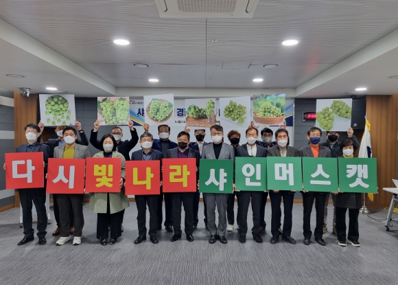 경북도, 샤인머스캣 경쟁력 강화 방안 마련 나서