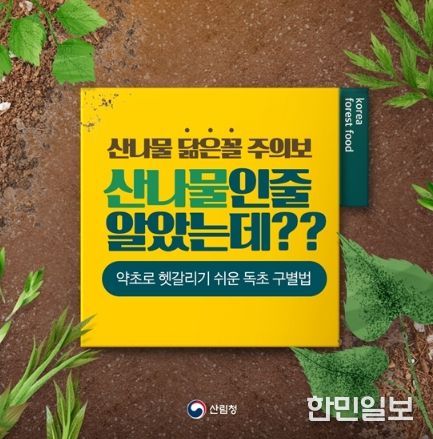 산림청
