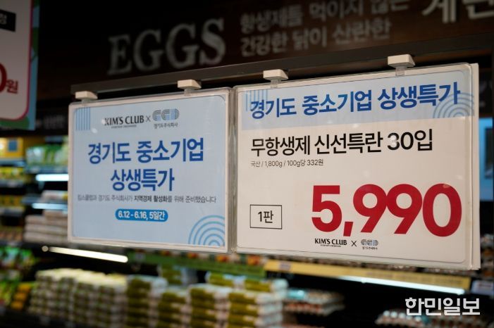 6월 기획전