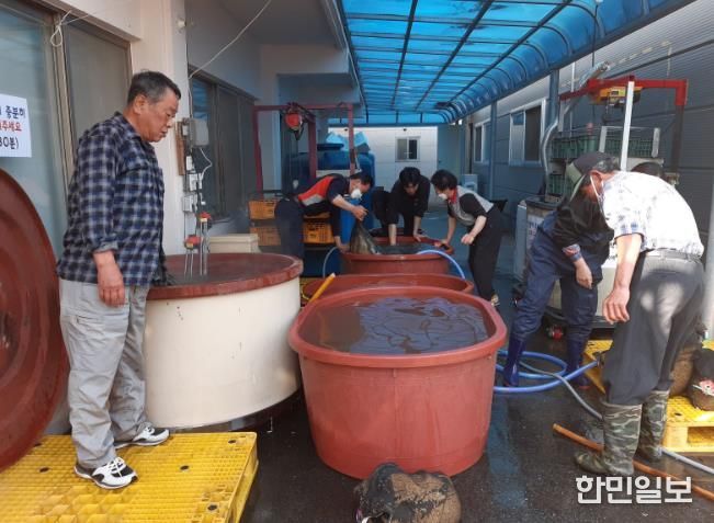 곡성군, 친환경 볍씨 온탕소독으로 벼농사의 시작 알려