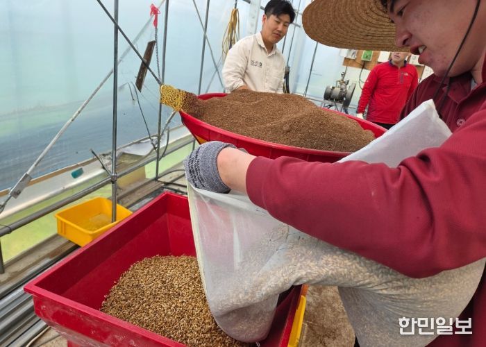 여주시, 지역대표 품종 개발을 위한 3년차 시험시작