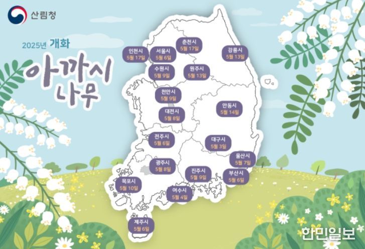 아까시나무 개화시기 예측 지도