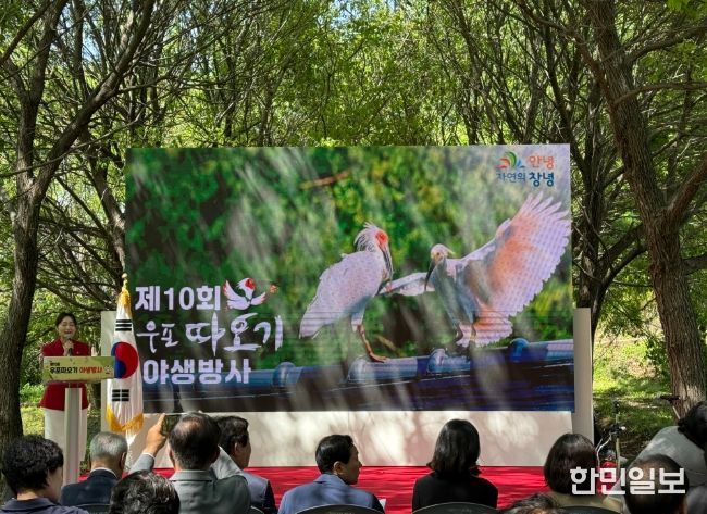 제10회 우포따오기 야생방사
