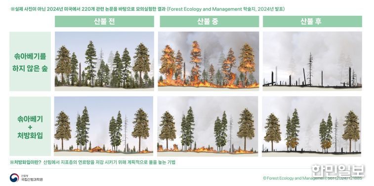 대형산불을-예방하는-숲가꾸기-모의실험
