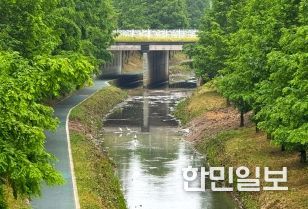 친환경 생태하천 새들천공원