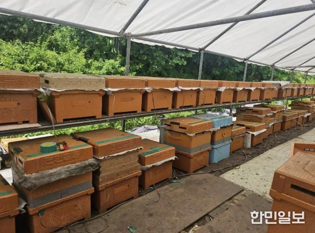 용인특례시 스마트 벌통을 설치한 양봉농가 사진