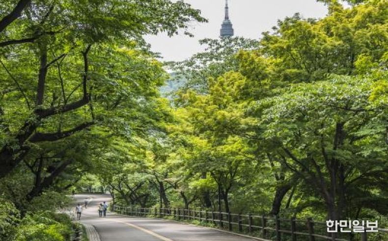 서울특별시 강북구 남산공원 도시숲