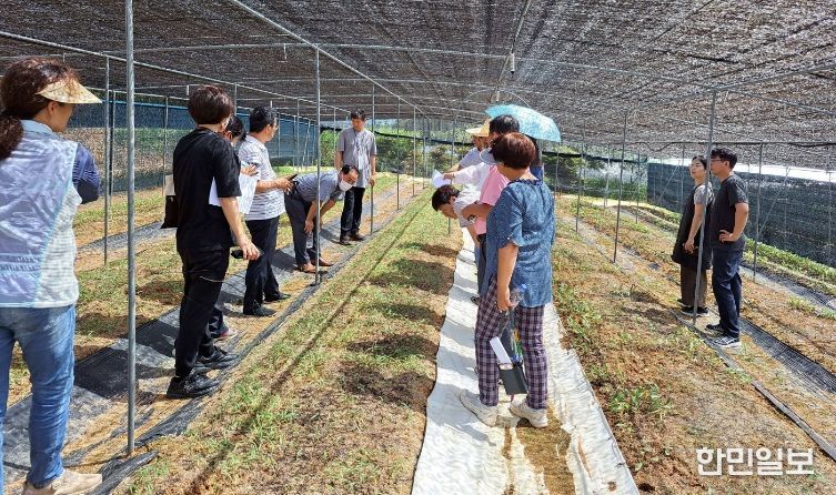 산약초 재배교육