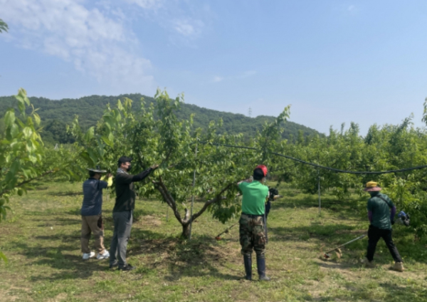 건축디자인과, 영농철 농촌일손돕기