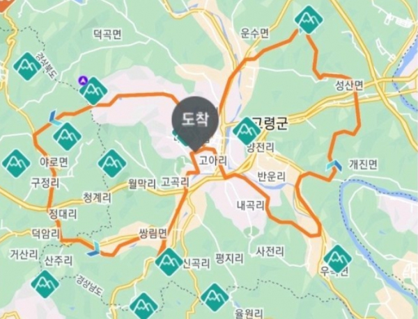 고령 나비 코스