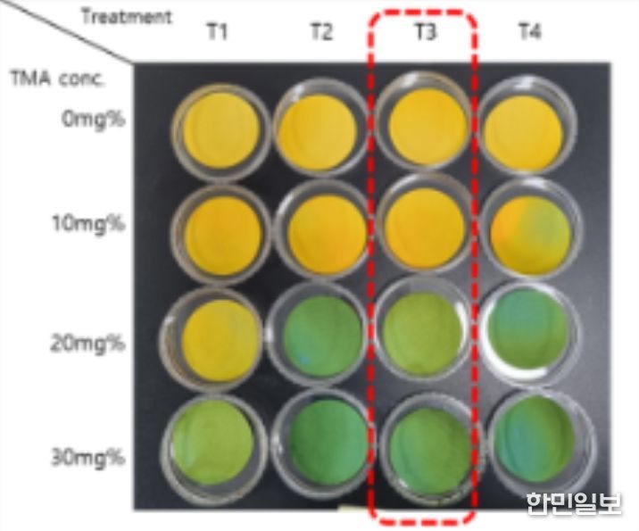 초기 부패 정도를 확인하는 VBN 20mg% 검출용 필름 제조 조건 선발