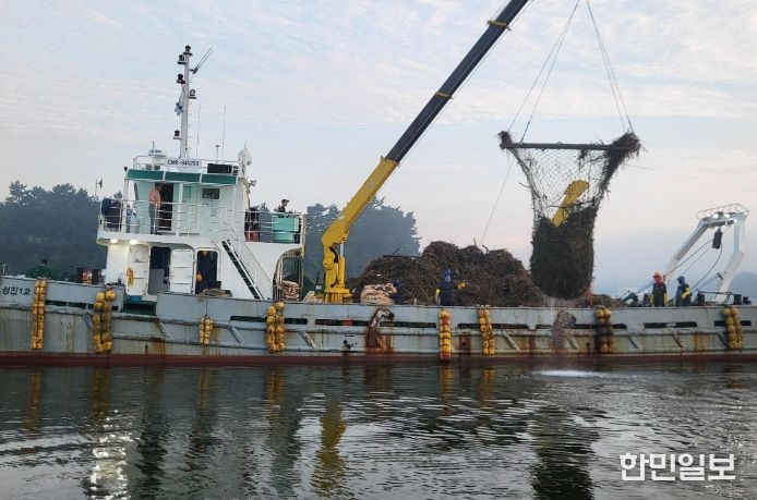 해양쓰레기 수거