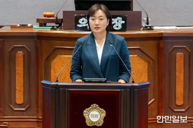 서울시 강남구의회 안지연 의원