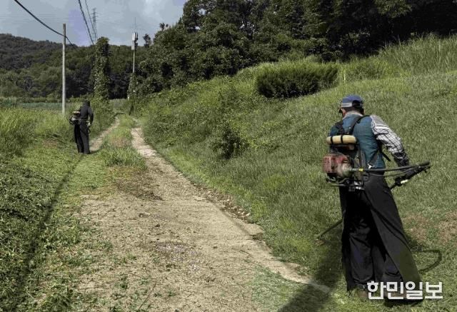 처인구는 공설‧공동묘지 14곳에서 제초 작업을 했다. 사진은 창리공동묘지