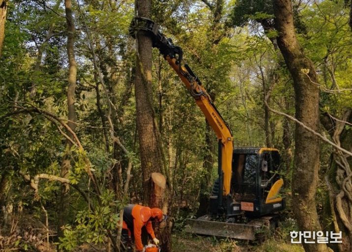 소나무재선충병 방제사업