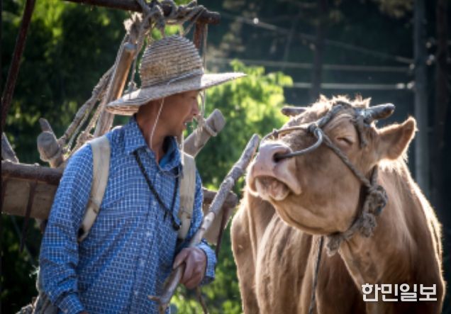 사진 분야 대상(농식품부장관상) 신운섭 作 (작품명 : 농삿일의 동반자)