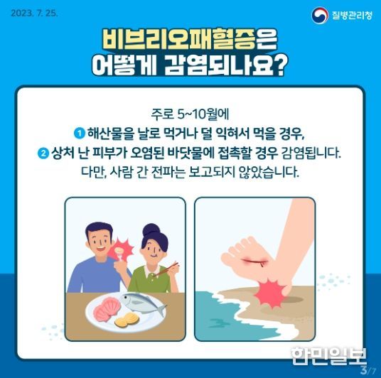 비브리오패혈증 예방 홍보물