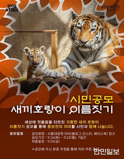 '시민공모 새끼호랑이 이름 짓기' 포스터