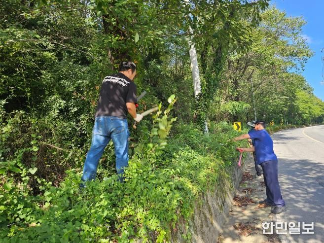 의성 춘산면 이장협의회, 가을맞이 가로수 전정 실시