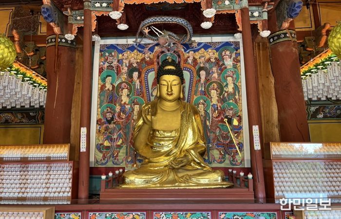 세종시 '비암사 소조아미타여래좌상' 국가보물 지정예고