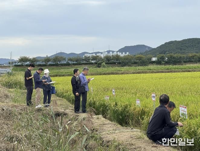 지역특화 벼 품종 선정을 위한 현장평가회 현장