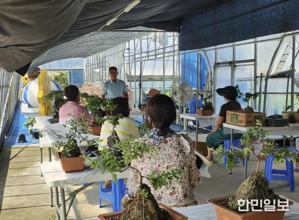 홍성군, 국화 분재 교육으로 가을축제 준비 완료!