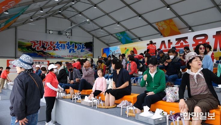 제43회 금산세계인삼축제 홍보물 및 지난해 축제