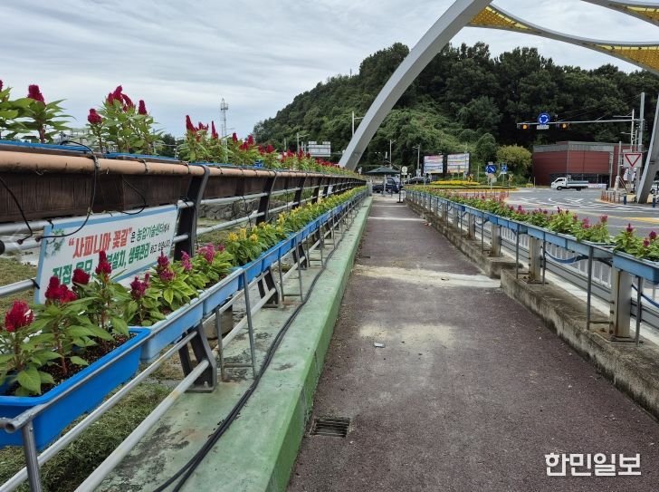 금산군 데크산책로