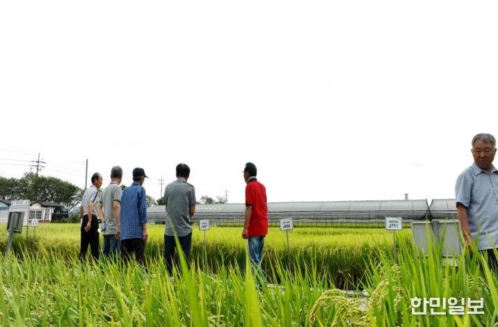 2025년 벼농사 종합평가회)