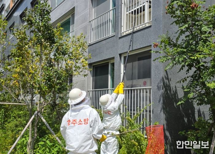 광주광역시소방, 추석 앞두고 ‘벌·뱀’ 사고 주의 당부