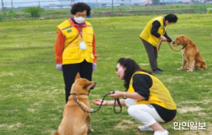 활동적 은퇴자 대상 교감치유 프로그램