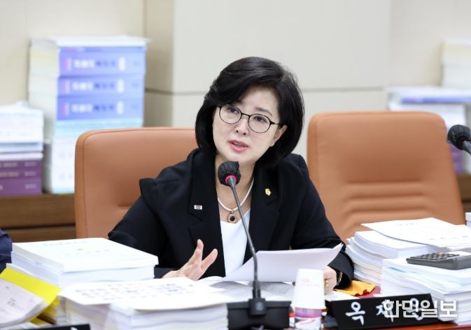 서울시의회 옥재은 의원