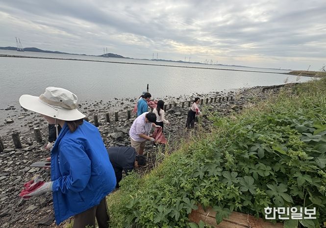 해양생태계 보존 활동 (비치플로깅)