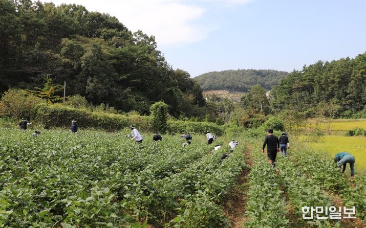 농촌일손돕기 실시