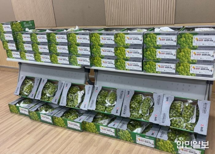 평택북부장애인복지관, 저소득 장애인 가정에 명절 물품 전달