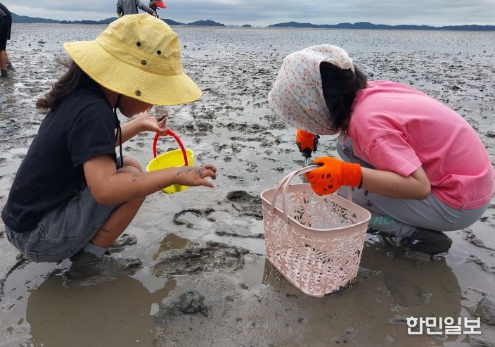 강화군, 취약계층 아동 대상‘갯벌 탐험대’ 프로그램 성료