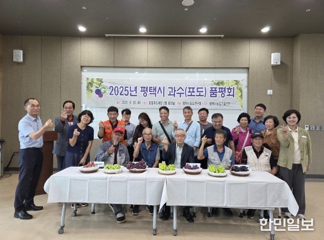 2025년 평택시 포도 품평회 개최