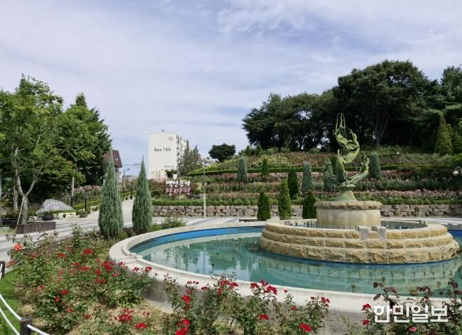 부천 백만송이장미원 전경