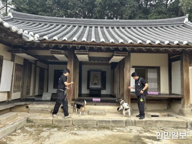 여주세종문화관광재단, 흰개미탐지견 활용 목조문화재 점검·환경정화 활동 실시