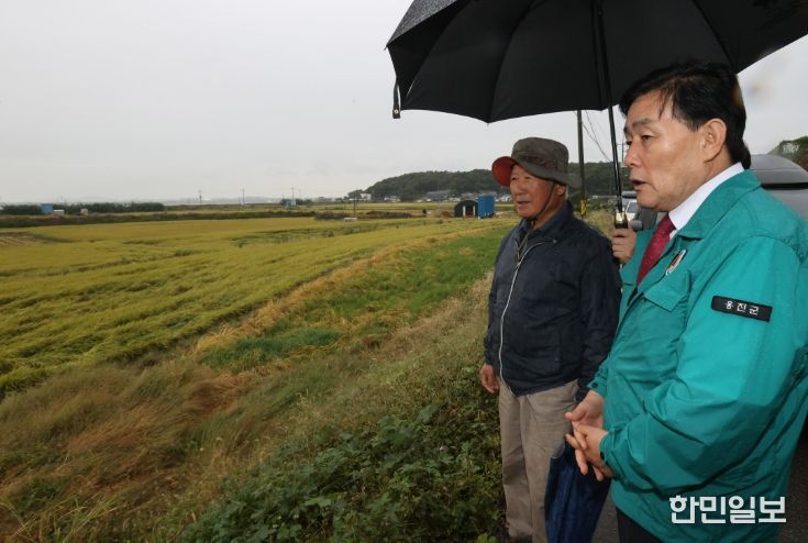 벼 도복 피해 현장 방문, 피해 최소화에 총력