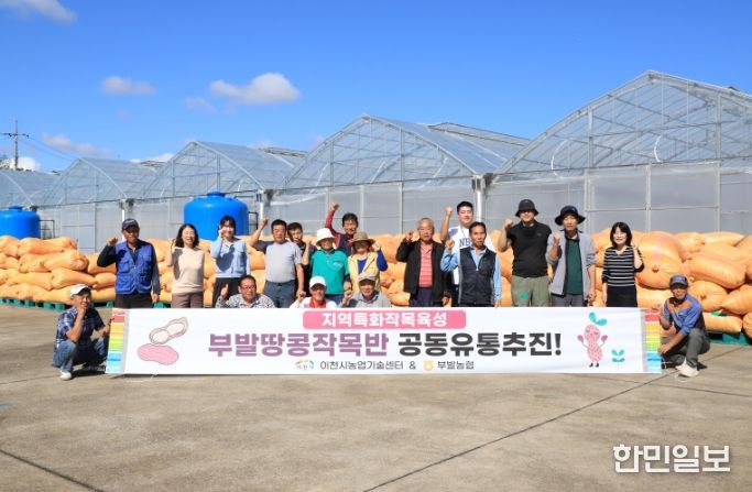 이천 부발땅콩, 첫 공동 유통 개시… 농가 소득 안정·지역경제 활력 기대