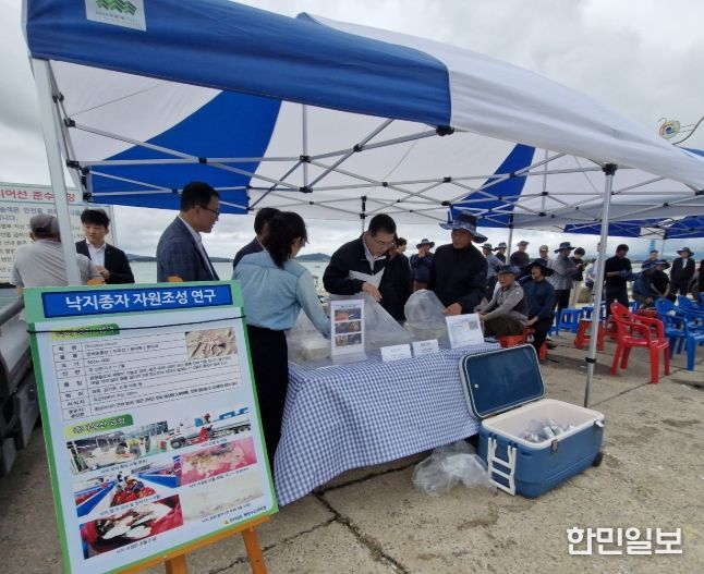 낙지 방류 행사