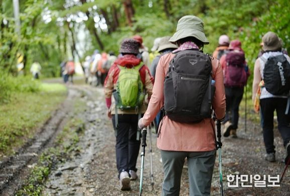 운탄고도1330 테마 트레일 축제