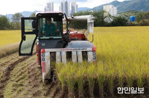 직접 콤바인 몰며 농민들과 현장 점검 하는 박영기 의장