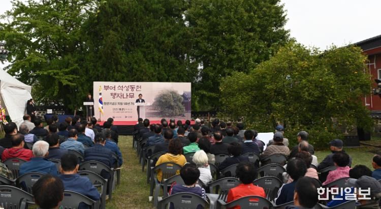 부여 석성동헌 탱자나무 천연기념물 지정 1주년 기념행사