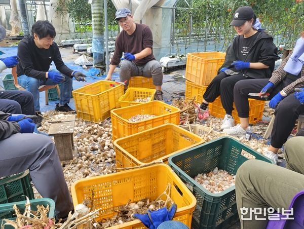강원특별자치도 일자리청년과, 농촌 일손돕기