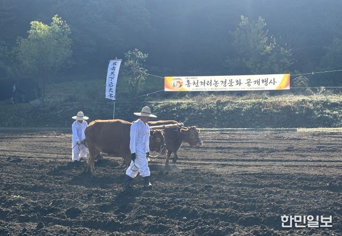 2025 홍천겨리농경문화 공개행사