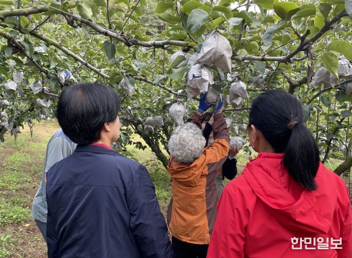 가을 야유회‘달콤한 기억 담기