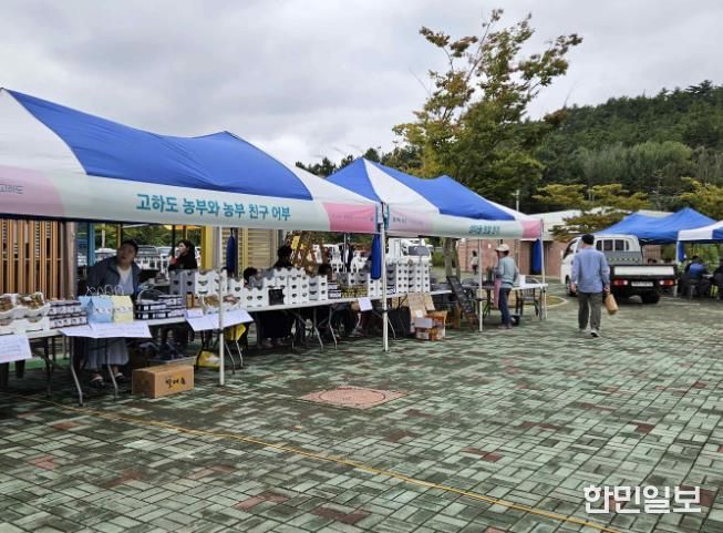 고하도 썬셋 마켓 현장 사진