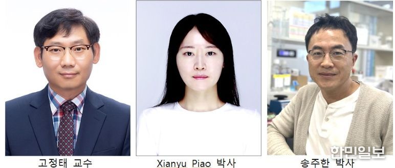 치의학전문대학원 연구진